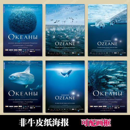 新泽西城市大学本科offer